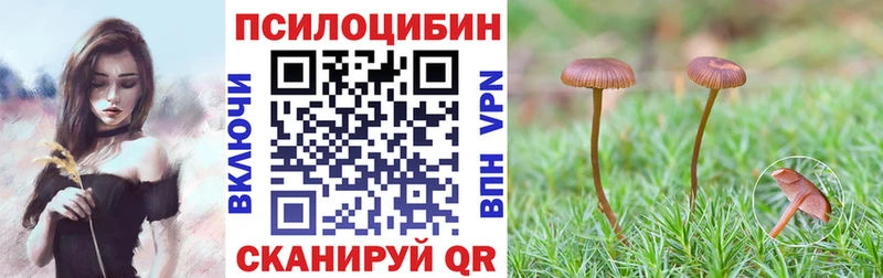 Купить Щигры Галлюциногенные грибы ЛСД